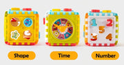 Educational Baby Sorting Cube Toys
